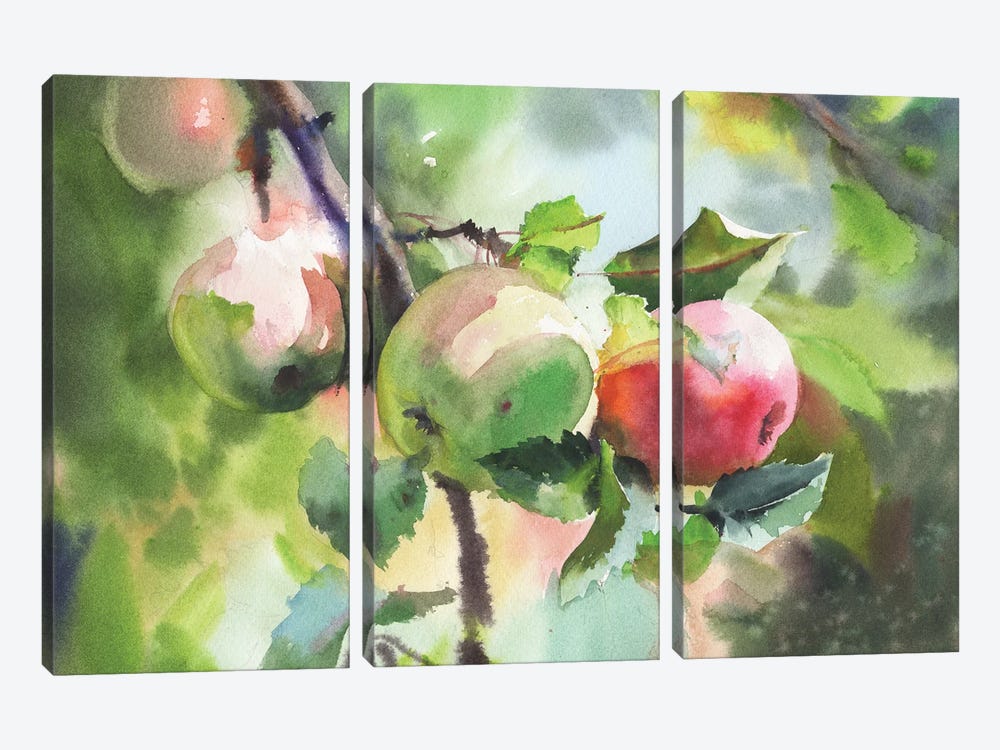 Red And Green Apples by Samira Yanushkova 3-piece Canvas Art