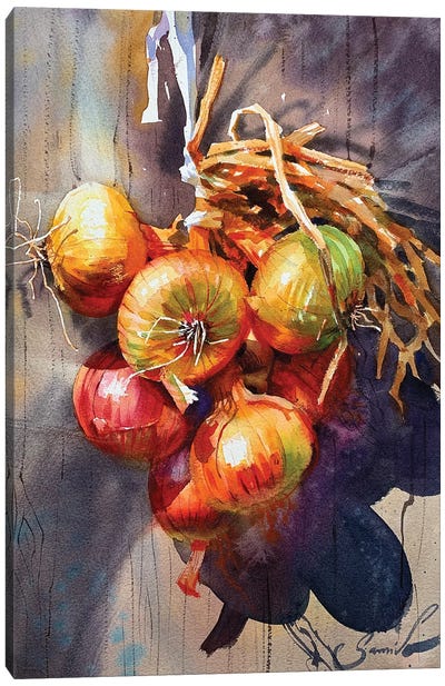 Bunch Of Onions Canvas Art Print - Intricate Watercolors
