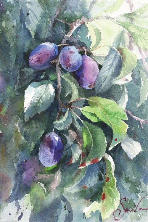 Plums