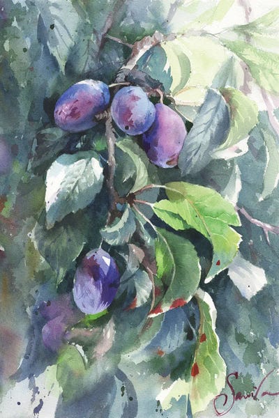 Middle Eastern Artists: Plums by Samira Yanushkova