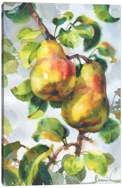 Pears Canvas Art Print - Samira Yanushkova