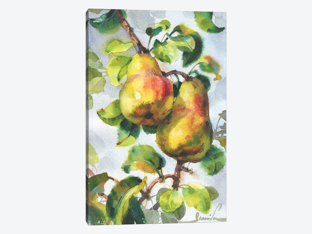 Pears by Samira Yanushkova 1-piece Art Print