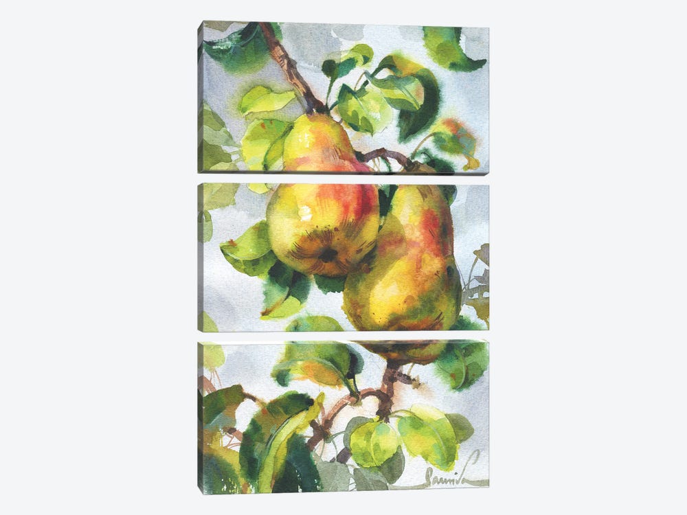 Pears by Samira Yanushkova 3-piece Canvas Print