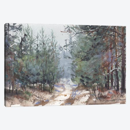 Forest Landscape In Nature Canvas Print #SYH1} by Samira Yanushkova Canvas Print