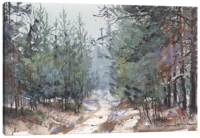 Forest Landscape In Nature Canvas Art Print - Subtle Landscapes