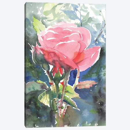 Romantic Rose Canvas Print #SYH219} by Samira Yanushkova Canvas Print