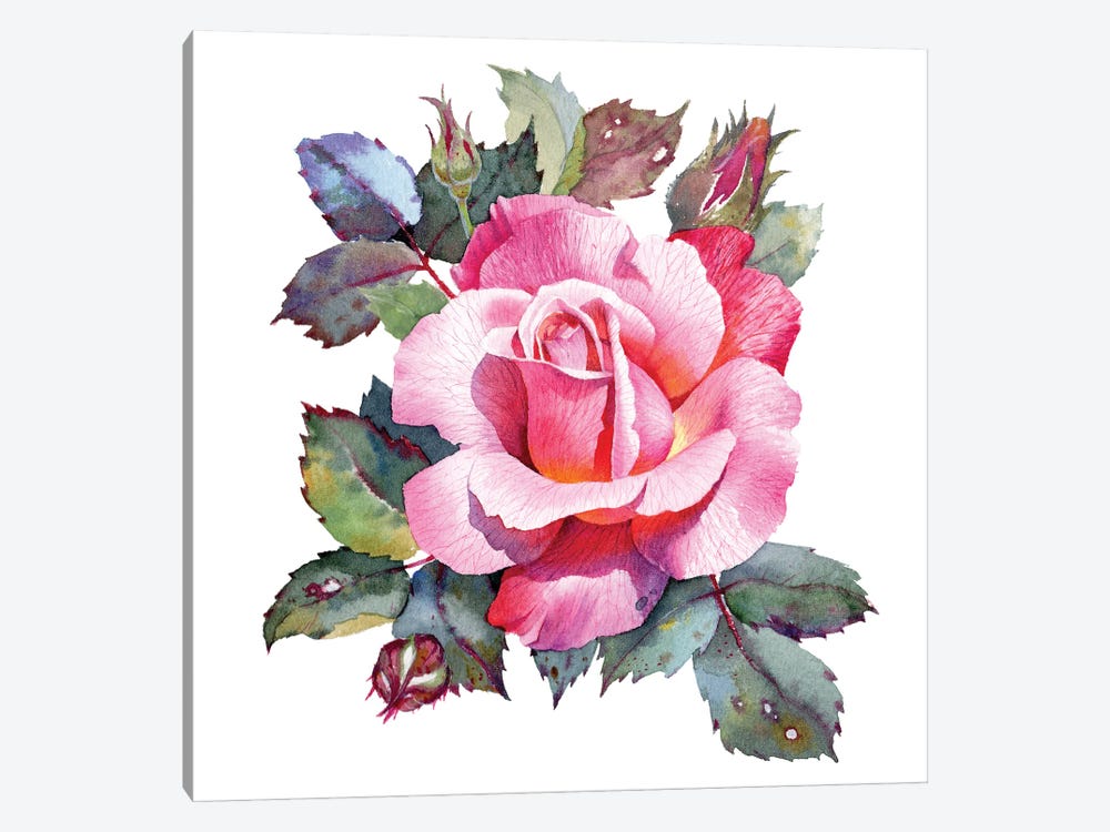 Rose Flower by Samira Yanushkova 1-piece Canvas Art Print