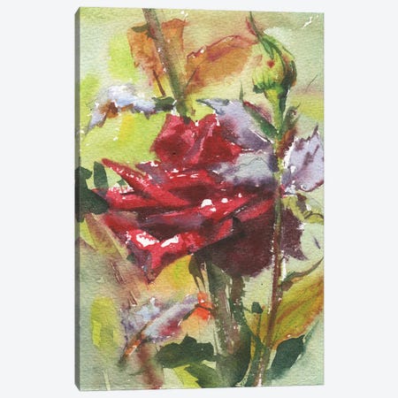 Spice Rose Canvas Print #SYH224} by Samira Yanushkova Art Print