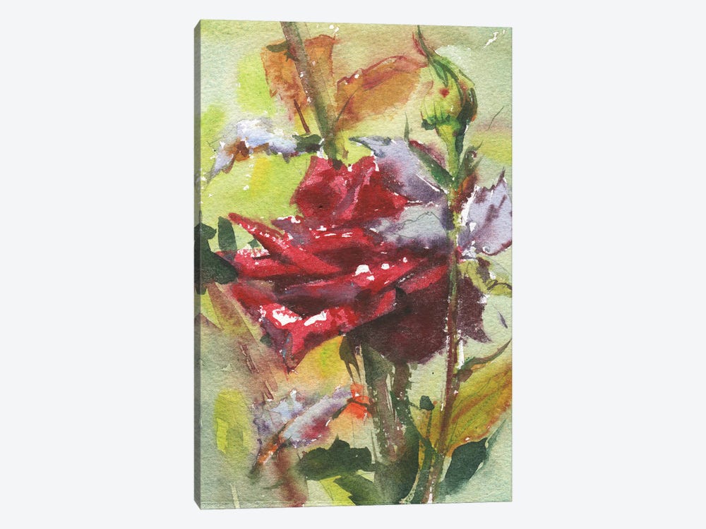 Spice Rose by Samira Yanushkova 1-piece Art Print