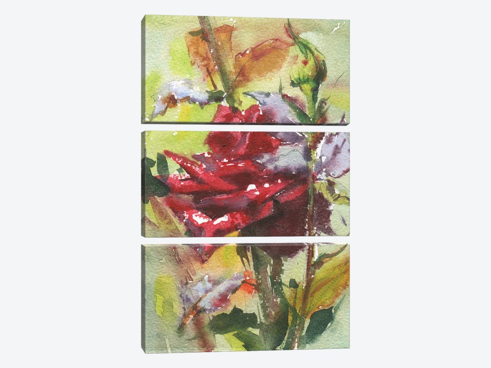 Spice Rose by Samira Yanushkova 3-piece Canvas Art Print