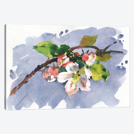 Apple Tree Flowers Canvas Print #SYH233} by Samira Yanushkova Art Print