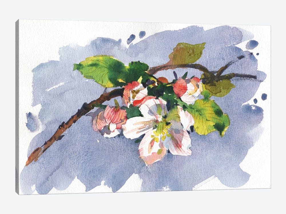 Apple Tree Flowers by Samira Yanushkova 1-piece Canvas Art Print