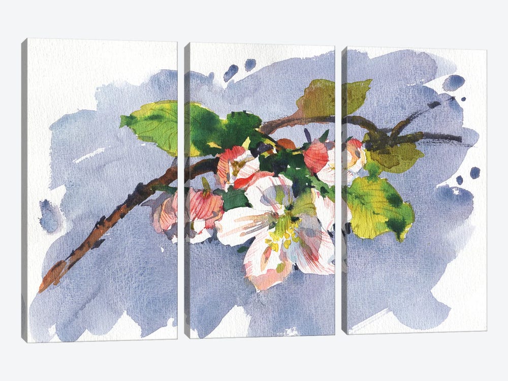 Apple Tree Flowers by Samira Yanushkova 3-piece Art Print