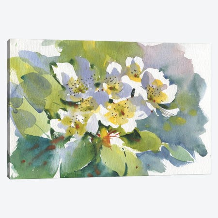 Blooming Apple Tree Canvas Print #SYH234} by Samira Yanushkova Canvas Wall Art