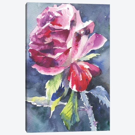Red Rose Floral Canvas Print #SYH236} by Samira Yanushkova Canvas Artwork