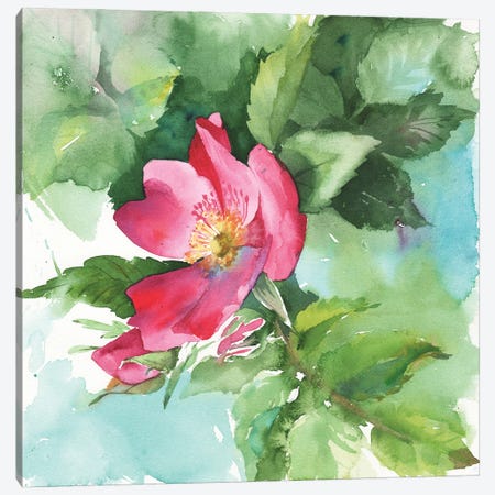 Pink Wild Flower Canvas Print #SYH238} by Samira Yanushkova Canvas Print