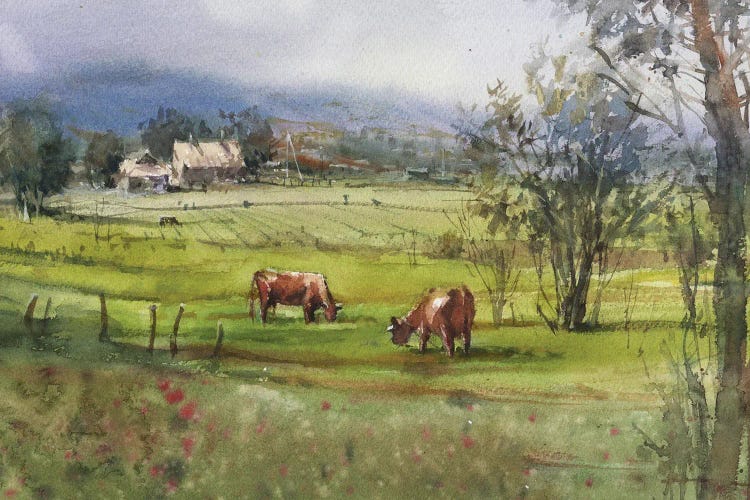 Meadow With Cows