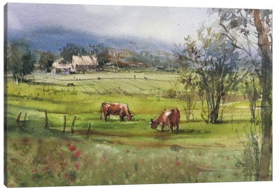 Meadow With Cows Canvas Art Print - Samira Yanushkova