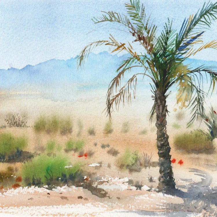 Oasis In The Desert