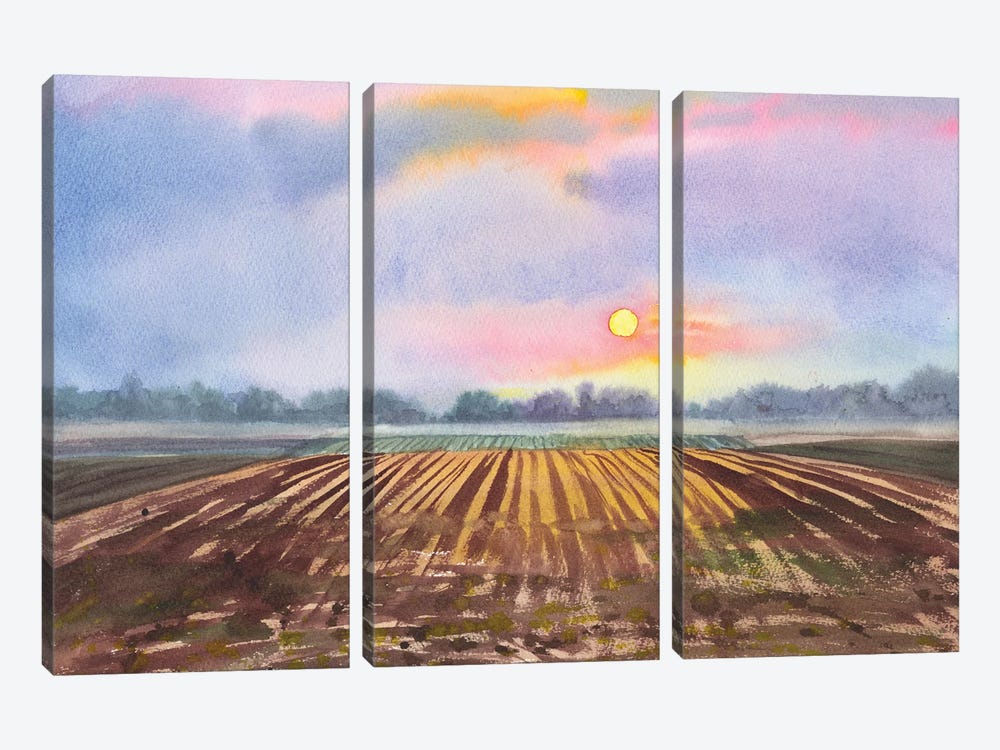 Field by Samira Yanushkova 3-piece Canvas Print