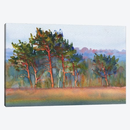 Trees In The Field Canvas Print #SYH284} by Samira Yanushkova Canvas Print