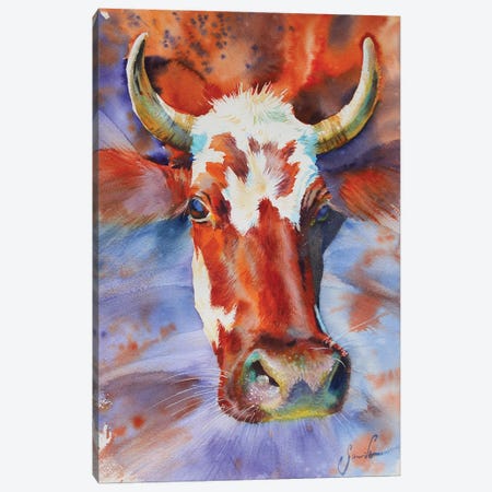 Cow Canvas Print #SYH32} by Samira Yanushkova Canvas Print