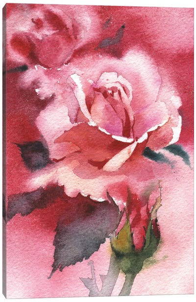 Beautiful Rose Canvas Art Print - Samira Yanushkova