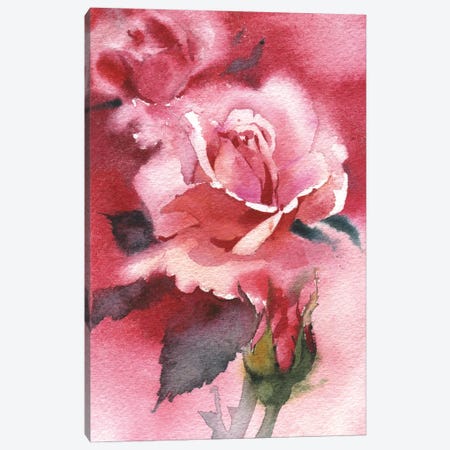 Beautiful Rose Canvas Print #SYH330} by Samira Yanushkova Canvas Art