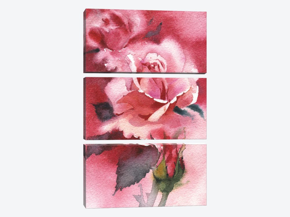 Beautiful Rose by Samira Yanushkova 3-piece Canvas Print