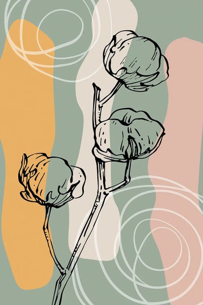 Cotton In Nordic Style