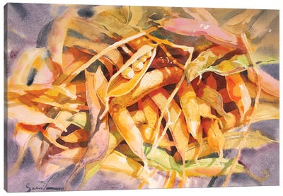 Beans Painting Watercolor Canvas Art Print - Samira Yanushkova