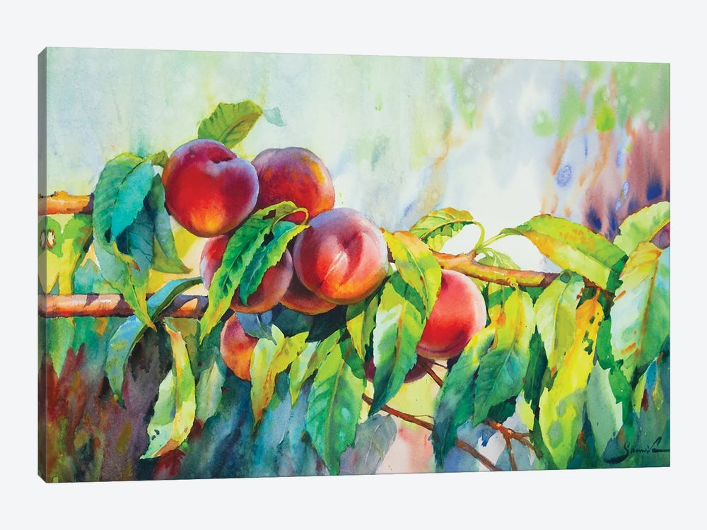 Peaches by Samira Yanushkova 1-piece Canvas Art Print