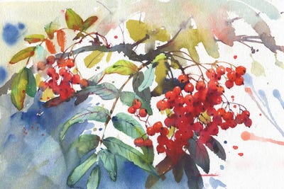 Viburnum by Samira Yanushkova framed wall art