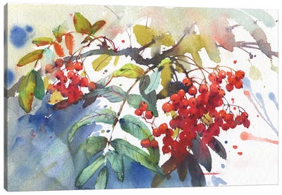 Viburnum Canvas Art Print - Berry Art
