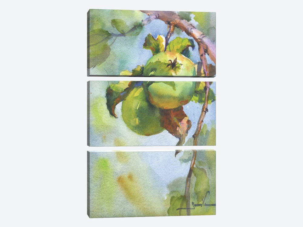Apples On A Branch by Samira Yanushkova 3-piece Canvas Wall Art