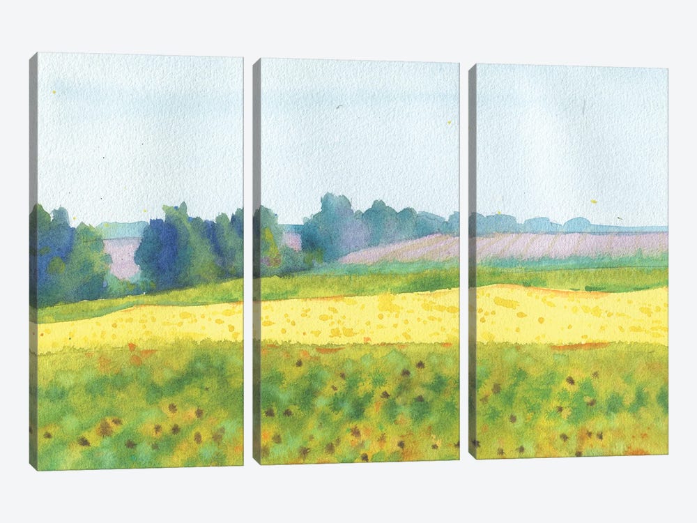 Field Landscape by Samira Yanushkova 3-piece Canvas Art Print