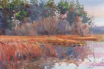 The Force Awakens by Samira Yanushkova multi panel art