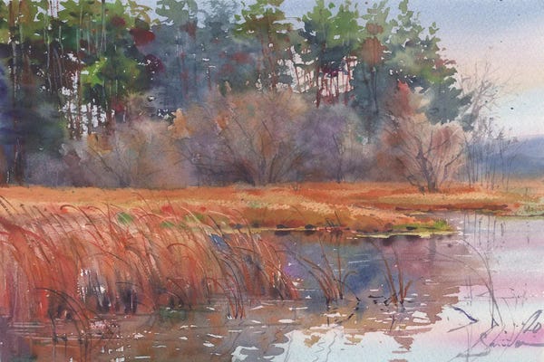 Ponds: The Force Awakens by Samira Yanushkova