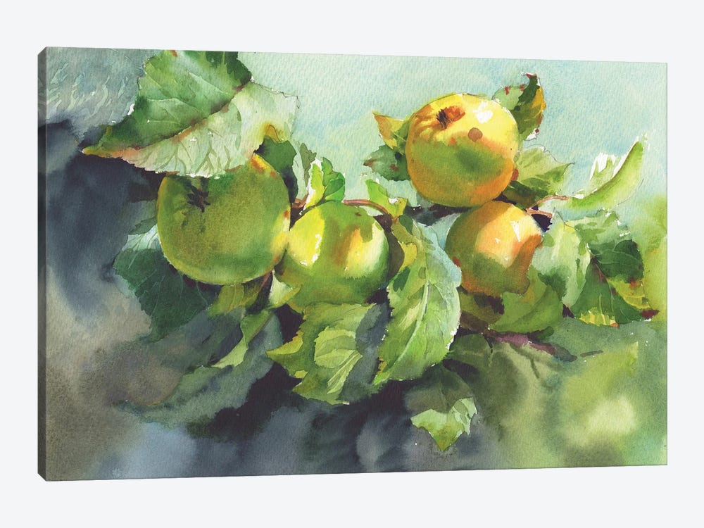 Apples On Branches In Sunlight by Samira Yanushkova 1-piece Canvas Wall Art