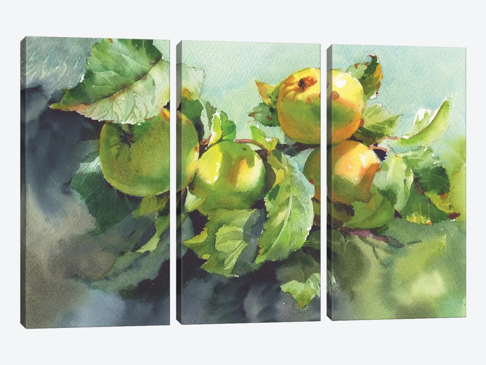 Apples On Branches In Sunlight by Samira Yanushkova 3-piece Canvas Artwork