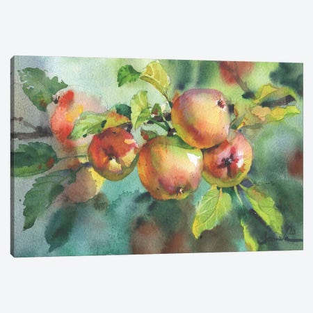 Ripe Apples Watercolor Canvas Print #SYH478} by Samira Yanushkova Art Print