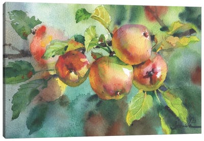 Ripe Apples Watercolor Canvas Art Print - Apple Art