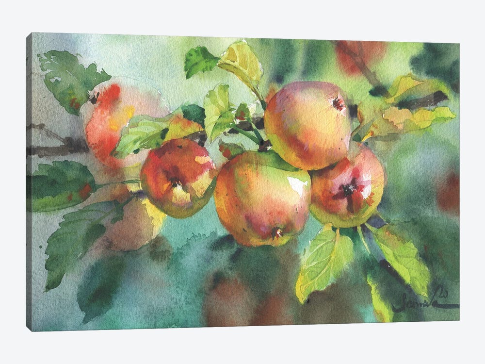 Ripe Apples Watercolor by Samira Yanushkova 1-piece Canvas Art