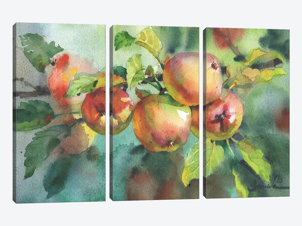 Ripe Apples Watercolor by Samira Yanushkova 3-piece Canvas Wall Art