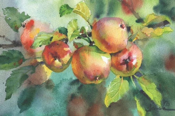 Kitchen: Ripe Apples Watercolor by Samira Yanushkova