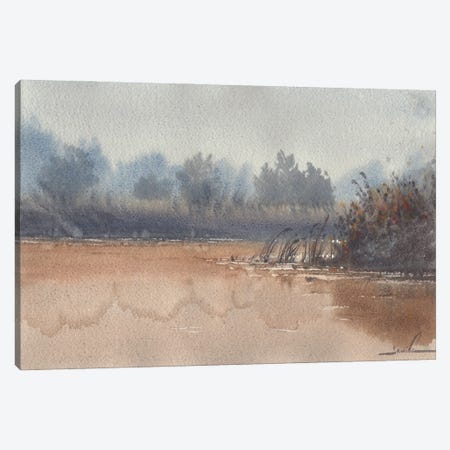 Fog Landscape Canvas Print #SYH479} by Samira Yanushkova Canvas Print