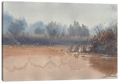 Fog Landscape Canvas Art Print - Subtle Landscapes
