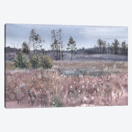 Misty Landscape Canvas Print #SYH482} by Samira Yanushkova Canvas Art