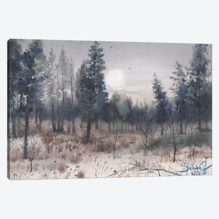 Forest Landscape Canvas Print #SYH49} by Samira Yanushkova Canvas Art