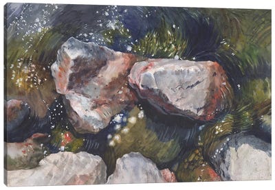 Nature Stones In Water Canvas Art Print - Intricate Watercolors